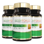SYNBIOTIK VITAL AKTIV SYNBIOTIK VITAL AKTIV