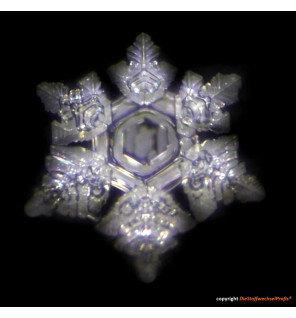 Hochenergie-Scheibe aus Glas by DieStoffwechselProfis® mit 90.10.® Quanten-Technologie