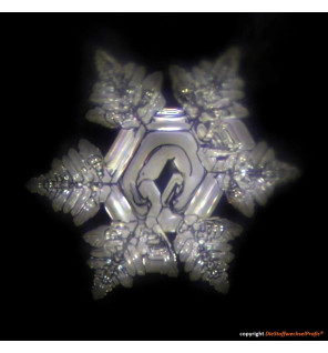 Hochenergie-Scheibe aus Glas by DieStoffwechselProfis® mit 90.10.® Quanten-Technologie