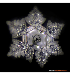 Hochenergie-Scheibe aus Glas by DieStoffwechselProfis® mit 90.10.® Quanten-Technologie