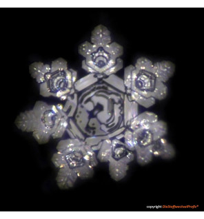 Hochenergie-Scheibe aus Glas by DieStoffwechselProfis® mit 90.10.® Quanten-Technologie