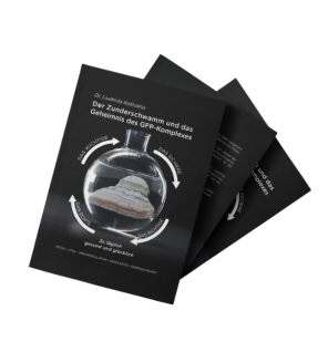 Der Zunderschwamm und das Geheimnis des GFP-Komplexes® | Buch | Perfect Food