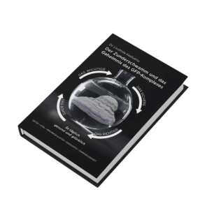 Der Zunderschwamm und das Geheimnis des GFP-Komplexes® | Buch | Perfect Food