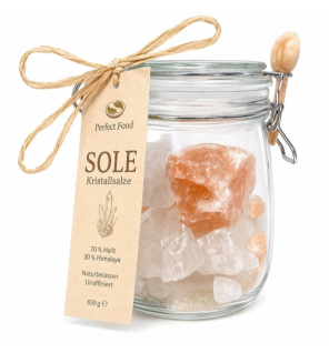 Kit Perfect Food per Salamoia | 650 g di Cristalli di Sale | Svizzera