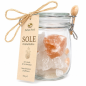 Perfect Food Salzsole Set | 650 g Kristallsalz mit Holzlöffel | Schweiz