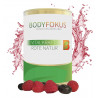 BodyFokus Vitalkraft revital Perfect Food