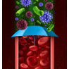 Produkte für das Immunsystem